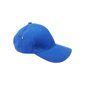 Sin título-1_0058_5 Gorra Azul Limpia
