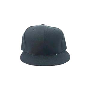 Sin título-1_0060_4 Gorra negra Plana